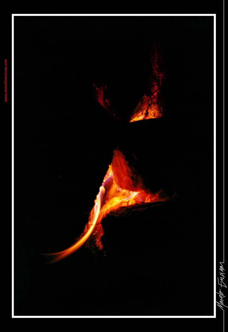 Exposición "LOS 4 ELEMENTOS" / Elemento: Fuego / Título: "LENGUA DE DRAGÓN" / Autor Ph: Marcelo ENCINAS