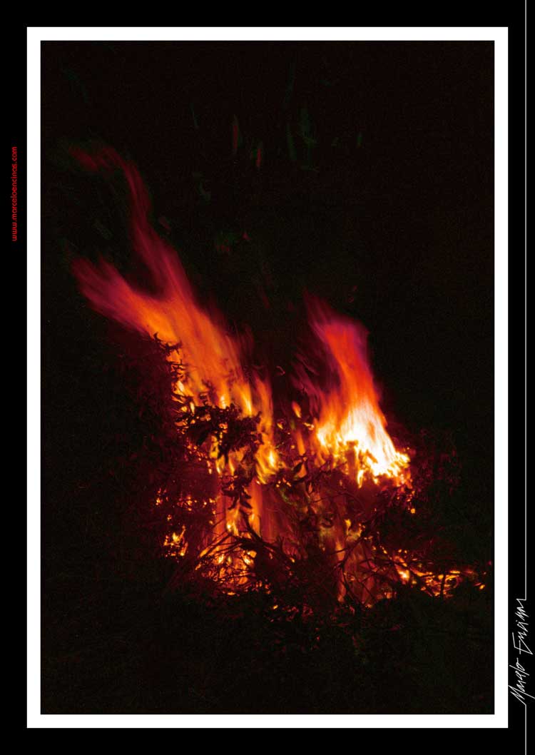 Exposición "LOS 4 ELEMENTOS" / Elemento: Fuego / Título: "SALAMANDRAS DANZANTES" / Autor Ph: Marcelo ENCINAS